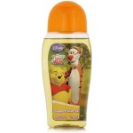 Air-Val International Disney Tiger & Pooh Shampoo & Shower Gel 250 ml – Hledejceny.cz