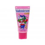 Vademecum Junior jahoda 50 ml – Hledejceny.cz