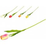Umělé květiny, plast 520mm tulipán, mix barev