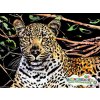 Škrábací  obrázek Škrabací obrázek Gepard 40 5x28 5cm