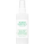 Mario Badescu Pleťová voda Facial Spray with Aloe Adaptogens + Coconut Water 118 ml – Zbozi.Blesk.cz