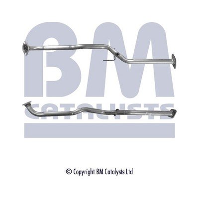 BM CATALYSTS BM50196 | Zboží Auto