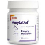 DOLFOS AmylaDol 30 tabl. enzymy na problemy s trávením pro psy a kočky – Hledejceny.cz