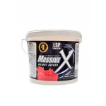 LSP nutrition Massive X weight gainer 4000 g – Hledejceny.cz