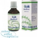 Joalis Mollicut 50 ml