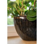 Ter Steege Váza široká Niene black gold D59x26 H35 – Hledejceny.cz