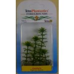 Tetra Anacharis 15 cm – Sleviste.cz