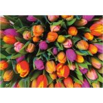 Piatnik Tulipány / 1000 dílků – Zboží Mobilmania