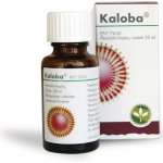 KALOBA POR GTT SOL 1X50ML – Zboží Mobilmania