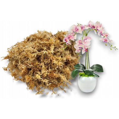 Rašeliník Sphagnum Spagmoss připravený k použití 3L TerraQuality – Hledejceny.cz