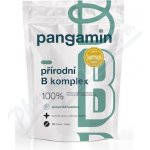 Pangamin přírodní B komplex tablet 120 – Hledejceny.cz
