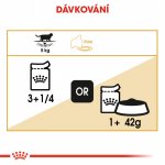 Royal Canin British Shorthair Adult 24 x 85 g – Zboží Mobilmania