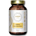 Puravia LABS MORNING Magnesium Malát 90 kapslí – Hledejceny.cz