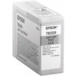 Epson C13T850900 - originální – Hledejceny.cz