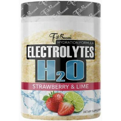 FitBoom Electrolytes H2O 500 g – Hledejceny.cz