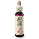 Bachovy květové esence Borovice lesní Pine 20 ml – Hledejceny.cz