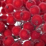 Springos CA0209 UMĚLÝ MRAŽENÝ JEŘABINA ? 12 MM 10-11 CM 100 KS. – Hledejceny.cz