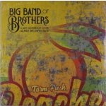 Big Band Of Brothers - A Jazz Celebration Of The Allman Brothers Band LP – Hledejceny.cz