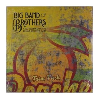 Big Band Of Brothers - A Jazz Celebration Of The Allman Brothers Band LP – Hledejceny.cz