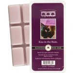 Bridgewater Candle Company vonný vosk do aromalampy Kiss In The Rain 73 g – Zboží Dáma