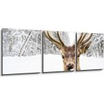 Obraz 3D třídílný - 150 x 50 cm - Deer with beautiful big horns on a winter country road Jelen s krásnými velkými rohy na zimní venkovské cestě – Sleviste.cz