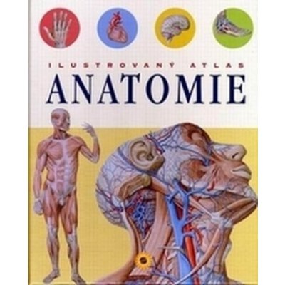 Ilustrovaný atlas Anatomie – Zbozi.Blesk.cz