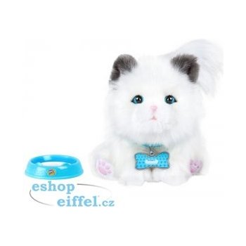 Cobi LITTLE LIVE PETS Moje vysněné koťátko