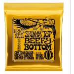 Ernie Ball 2216 – Sleviste.cz