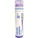 CALCAREA CARBONICA POR 30CH GRA 1X4G – Hledejceny.cz