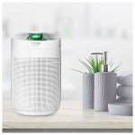 Concept OV1200 Perfect Air – Zboží Dáma