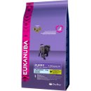 Eukanuba Puppy Large Breed kuřecí 2 x 15 kg