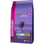 Eukanuba Puppy & Junior Large Breed 3 kg – Hledejceny.cz