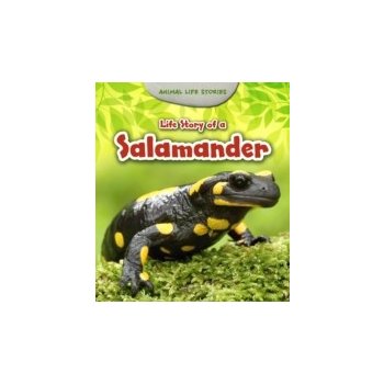 Life Story of a Salamander - Guillain Charlotte