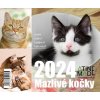Kalendář Mazlivé kočky stolní týdenní 150 X 130 mm 2024