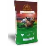Energys Kuře Midi granule 10 kg – Zbozi.Blesk.cz