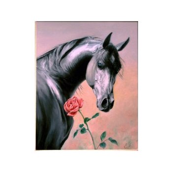 Černý kůň s růží A4
