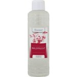 Chemoform AG Finesse Esence pro sauny koncentrát Lesní plody 1000 ml – Hledejceny.cz
