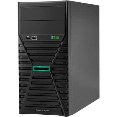 HPE PL ML30g11 P71385-425 – Zboží Živě