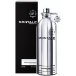 Montale Mango Manga parfémovaná voda unisex 100 ml – Hledejceny.cz