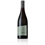 Weingut Am Stein Rulandské modré červené 2022 12,5% 0,75 l (holá láhev) – Hledejceny.cz