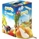 OVOCŇÁK Mošt hruškový 3L – Zboží Dáma