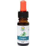 Phytos Eukalyptus globulus 100% esenciální olej 10 ml – Hledejceny.cz