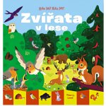 Kde jsi? Kdo jsi? Zvířata v lese – Hledejceny.cz