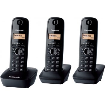 Panasonic KX-TG1613