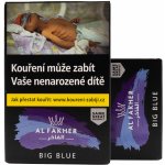 Al Fakher Big Blue 50 g – Zboží Dáma