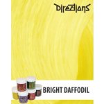 La Riché Directions Crazy barva Fluorescent Glow 33 – Sleviste.cz