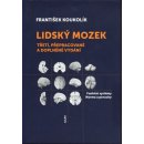 Lidský mozek