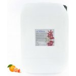 PM Aqualog esence do parních kabin pomeranč-mandarinka 861-010/D 10 l – Hledejceny.cz