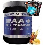 Scitec Nutrition EAA + Glutamine 300 g – Zboží Dáma