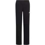 adidas ENT22 PRE PNT Y H57538 černá – Zboží Dáma